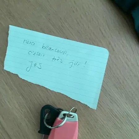 Joli Boheme Sous Les Toits De Apartment Paris